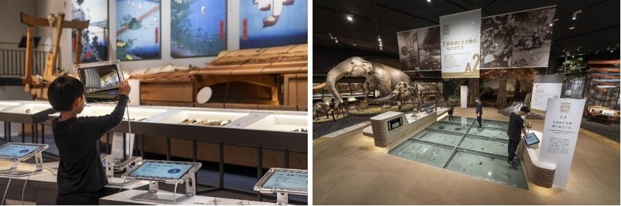 琵琶湖博物館の展示の様子。 多様な標本を手にとって観察ができる空間や地域の人々による展示コーナーなどを設置している。
