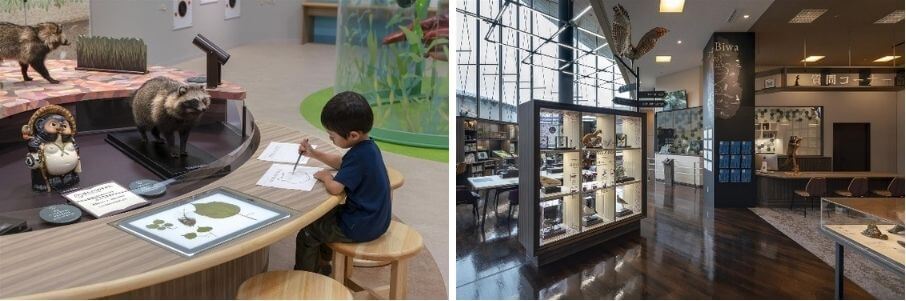 琵琶湖博物館の展示の様子。 多様な標本を手にとって観察ができる空間や地域の人々による展示コーナーなどを設置している。2